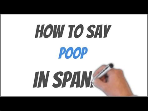 how to say poop head in spanish|Urban Dictionary: poopy head.